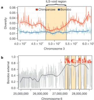 Figure 5 | Selection in the bonobo–chimpanzee common ancestor and chimpanzees. a, Diversity in chimpanzee and bonobo around the region on chromosome 3 devoid of ILS