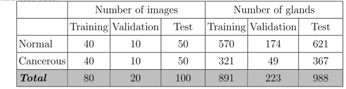 Table 4.1: Number of images and number of glands in the training, validation, and test sets.