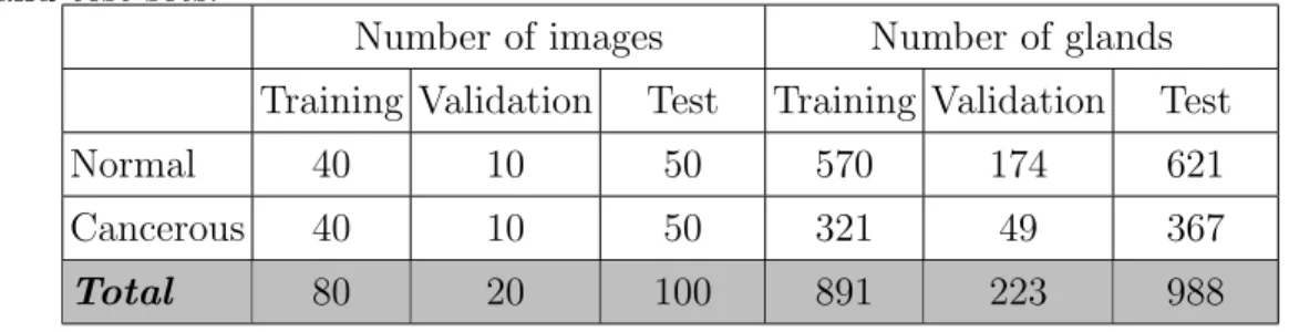 Table 4.1: Number of images and number of glands in the training, validation, and test sets.