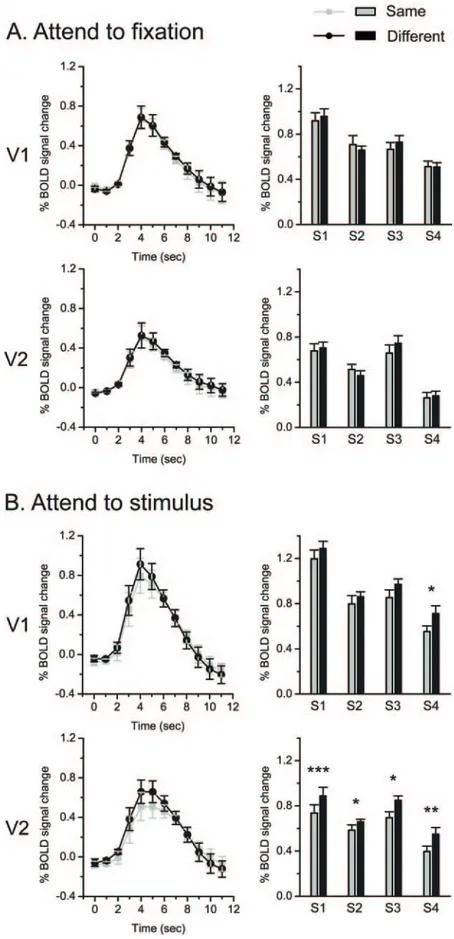 Figure 2. fMRI results in the main experiment. A, Attend-to-fixation condition. B, Attend-to-stimulus condition