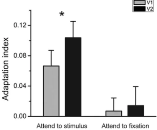 Figure 3. Adaptation indices of V1 and V2 averaged across four subjects in the attend-to- attend-to-fixation condition and the attend-to-stimulus condition