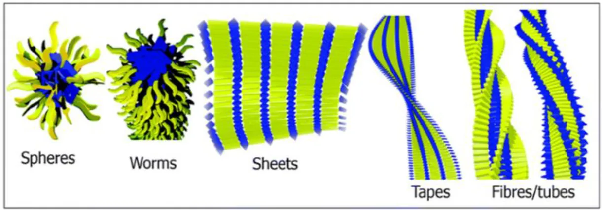 Figure 1.6 Peptide amphiphile self-assembly supramolecular nanostructures. 