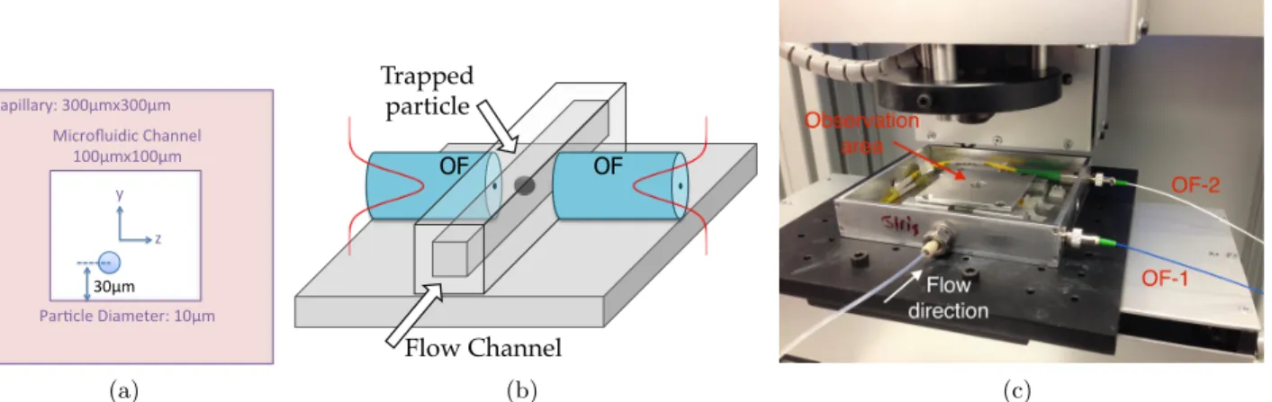 Figure 1. (a) Schematic drawing of the capillary and microfluidic channel, (b) schematic of the experimental set-up, (c) photograph of the experimental set-up