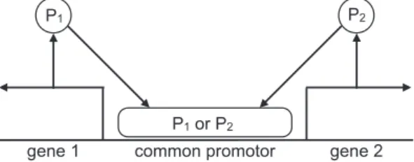 Figure 2. Illustration of the exclusive switch in section 5. The picture has been adapted from [32].