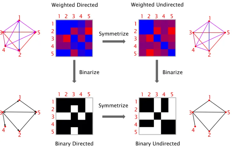 Fig 2. Types of graphs. Graphs can be classified based on their edge weights (weighted or binary) and directionality (directed or undirected)
