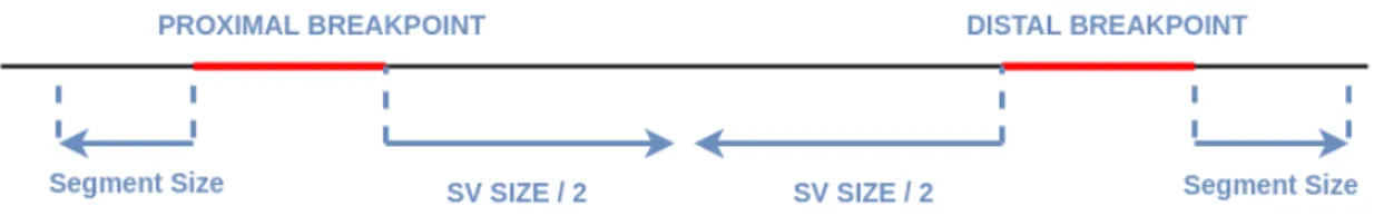 Figure 2.1: Confidence intervals are extended by segment size to left and right at proximal and distal breakpoints respectively to cover other ends of signaling discordant read pairs