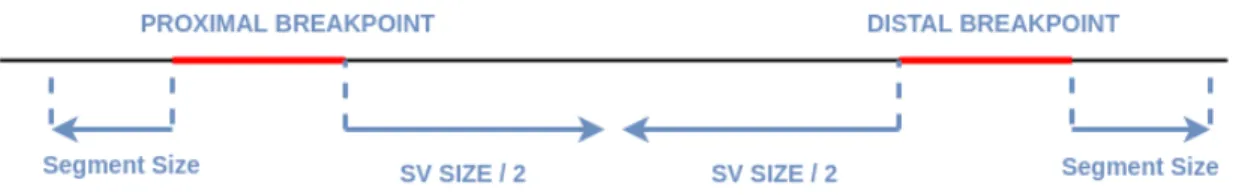Figure 2.1: Confidence intervals are extended by segment size to left and right at proximal and distal breakpoints respectively to cover other ends of signaling discordant read pairs