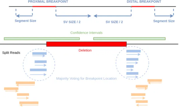 Figure 2.4: Clustering and majority voting of candidate breakpoint locations.