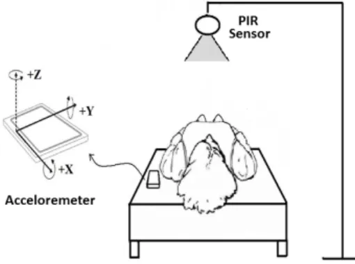 Fig. 1. Breathing activity detection system.