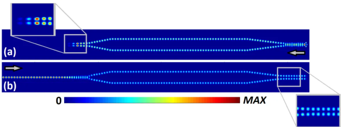 Fig.  2.  The  steady  state  intensity  distributions  at  the  normalized  frequency  a/λ = 0.3117  is  given  for  (a)  backward  and  (b)  forward propagation