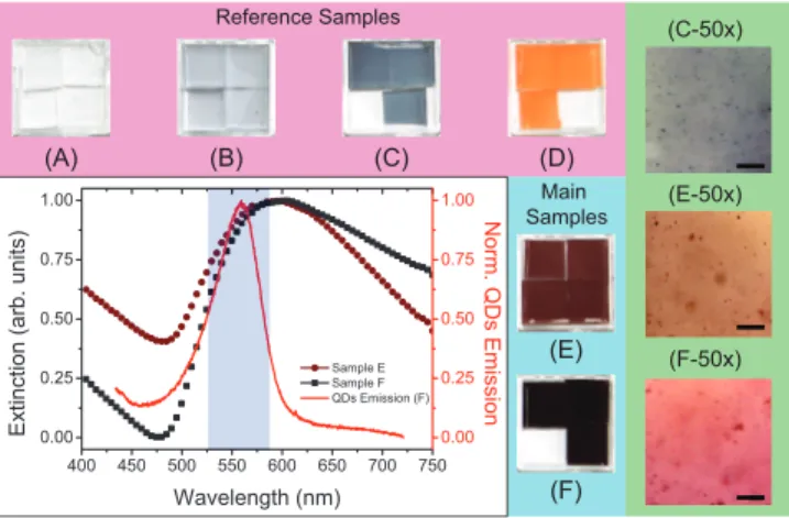 Fig. 1. Images of the reference and main samples. Reference samples (A) pure PDMS film, (B) low (1 × 10 −6 M) and (C) high (3 × 10 −6 M) concentrated Au-NPs PDMS film and (D) QDs-PDMS film (QDs concentration = 6 × 10 −5 M)