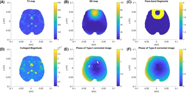 Figure 7A and B represent the type‐I and type‐II corrected  phase images drawn as 3D surface plot