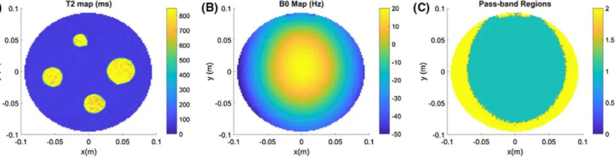 Figure 5E displays the expected (theoretical) phase differ- differ-ences between type‐I and type‐II corrections as a function of  T 2  and  ΔB 0  as calculated by using Equations (10) and (11)