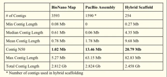 Table 3  Assembly Statistics