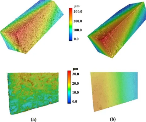 Fig. 4. 3D topography and top view of the cutting tools: (a) rough WEDMed tool, (b) ﬁnish WEDMed tool.