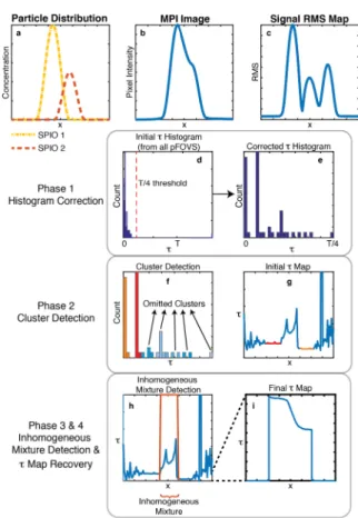 Fig. 4. The proposed relaxation mapping algorithm. (a) The simulated particle distributions for two different SPIO types, which overlap in a small region in 1D space