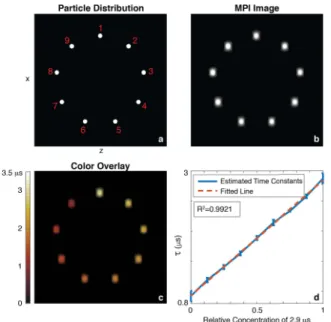 Fig. 7. Results of 2D simulations, for SNR level of 5. (a) A distribution with homogeneous mixtures of 2.9 μ s and 1.1 μ s SPIOs in different concentrations