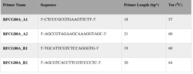 Table 2-4: Primers used for genotyping RFC 80 G&gt;A with PCR-RFLP 