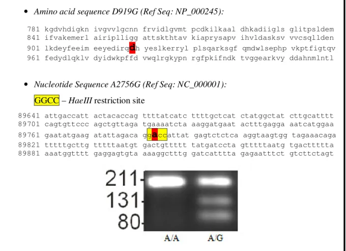Table 9.  D919G (A2756G) variant of the MTR gene 
