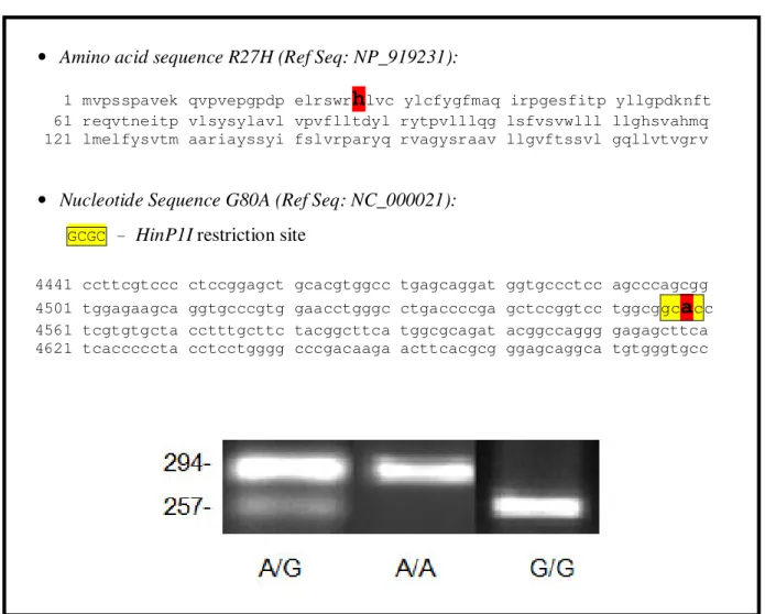 Table 11.  R27H (G80A) variant of the RFC gene 