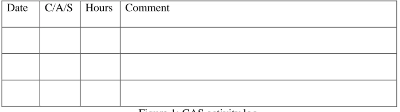 Figure 1: CAS activity log 