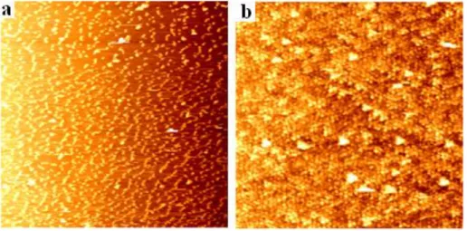 Figure 2. 6 AFM graph of our gold nanoparticles of 2 (a) and 5 (b) monolayers in thin film