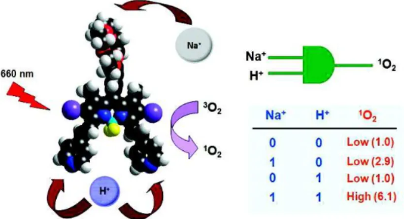 Figure 18 A BODIPY based molecular logic gate (as potential PDT agent) [31] 