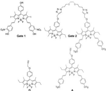 Table 1: Photophysical characterization of Gates 1 and 2 and modules D and A. Compound l abs [nm] e [m 1 cm 1 ] l F [nm] f F [a] [l exc (nm)] t F [b] [ns] Gate 1 645 [a] 40 000 667 0.13 1.2 720 30 000 – 0.00 – Gate 2 525 85 000 537 0.14 3.5 654 93 000 670 