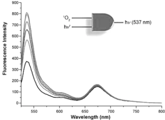 Figure 7. Changes in the fluorescence at 537 nm of the micellar Gates 1 and 2 in D 2 O for different combinations of conditions: dark and basic ( &amp; ), light and basic ( * ), dark and acidic ( ~ ), and light and acidic ( ! )