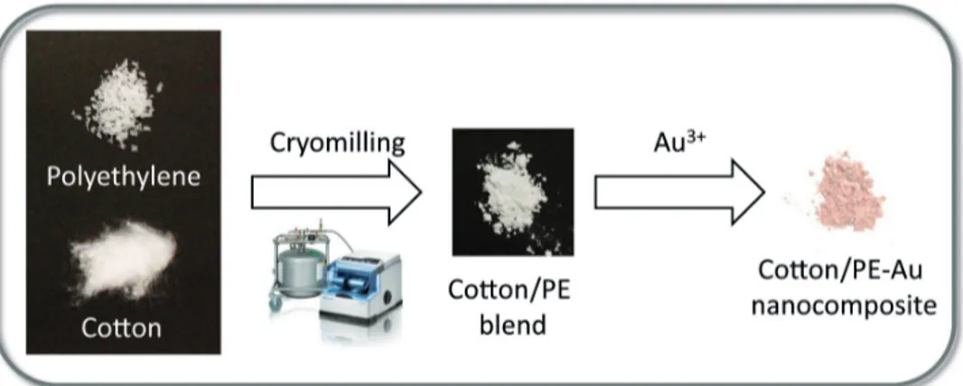 Figure 1. Preparation of the cotton/thermoplastic-Au nanocomposites. In the first stage, thermoplastic  (PE or PP) and cotton were cryomilled for 30 min at 30 Hz at 77 K