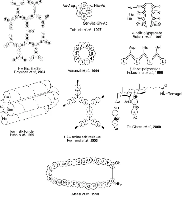 Figure 1.5   Examples of peptides and peptide scaffold as hydrolase mimics.  