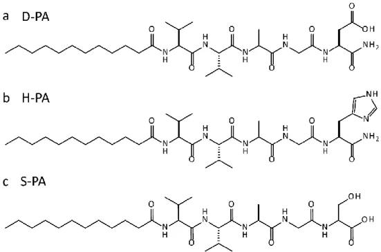 Figure  2.1  Chemical  structures  of  the  peptides  used  to  form  catalytic  nanostructures
