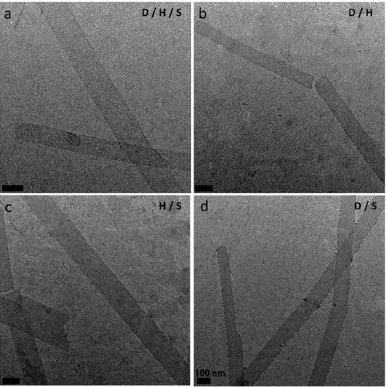 Figure  2.3 TEM images of the peptide nanostructures. a) D/H/S (D-PA+H-PA+S- (D-PA+H-PA+S-PA), b) D/H (D-PA + H-(D-PA+H-PA+S-PA), c) H/S (H-PA + S-PA) and d) D/S (D-PA+S-PA)