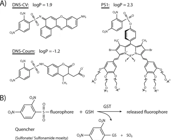 Figure 1.  Chemcial structures and activation mechanism of the used GST substrates. (A) Chemical  structures as well as theoretical logP values at pH 6.5