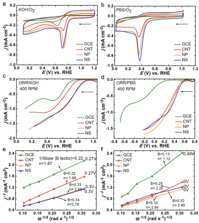 Tafel slopes obtained at NS and NP cases (from Figure 4c,d) are close to 120 mV/dec, which implies that the ﬁrst step is a rate-limiting step for the ORR, as shown in Figure S7.