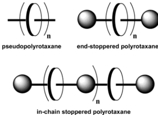 Figure 1. Definition of main chain polyrotaxanes.