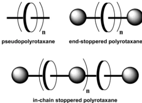 Figure 1. Definition of main chain polyrotaxanes.