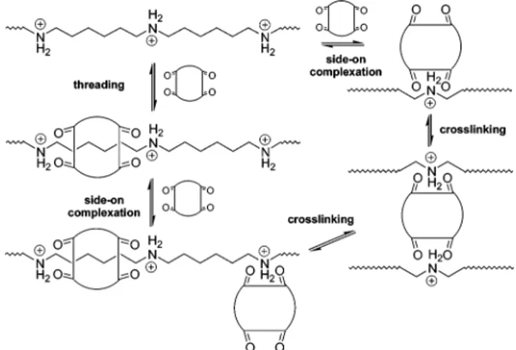 Figure 12. Synthesis of monomers 14 and 18. Conditions and reagents: (i) NH 2 CH 2 CtCH, neat, 0 °C f room temperature, 16 h, 100% (crude); (ii) 1 N HCl in Et 2 O, room temperature, 86%; (iii) NH 2 CH 2 CH 2 OH, neat, 5 h, 150-160 °C, 66%; (iv) SOCl 2 , CH