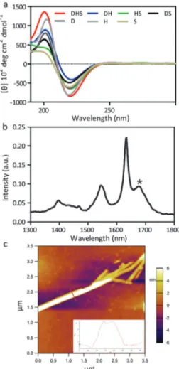 Fig. 3 TEM images of the peptide nanostructures: (a) D/H/S (D-PA + H-PA + S-PA), (b) D/H (D-PA + H-PA), (c) H/S (H-PA + S-PA) and (d) D/S (D-PA + S-PA)