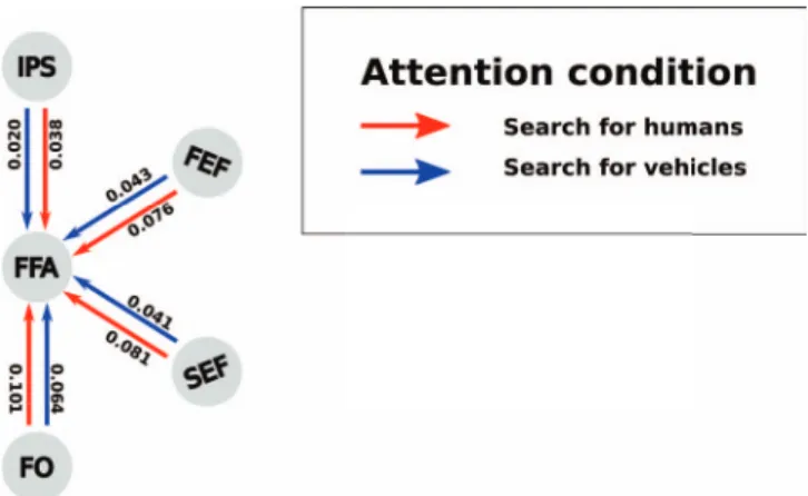 Fig. 1. Granger causality from attention-control regions (IPS, FEF, SEF, FO) to FFA. We computed the Granger causality measure from attention-control regions to FFA for both attention conditions, and averaged the measures across the subjects
