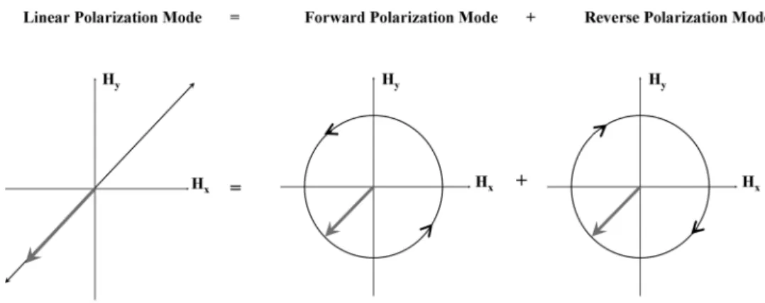 FIG. 3. Visualizing the RCRF coil and the anatomy. Spins in the anatomy create a forward-polarized signal