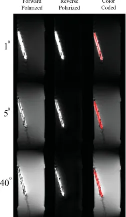 FIG. 9. The animal imaging experiment. As in the phantom imaging experiment images, the forward polarization mode, the reverse  polar-ization mode, and the color-coded images are shown from left to right.