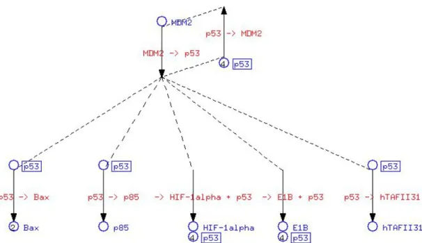 Figure 1.2: Signaling network example from CSNDB database [74].