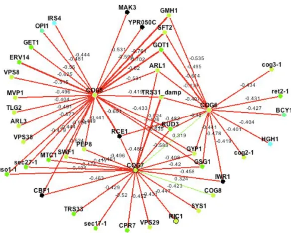 Figure 1.4: Genetic interaction network from DRYGIN database [52].