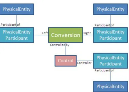 Figure 2.4: Part of the data model of BioPAX Level 1.