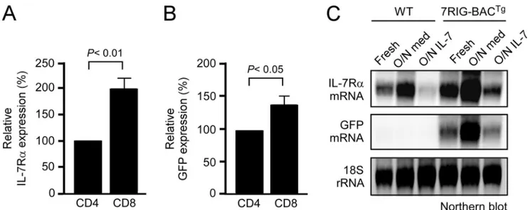 FIGURE 2. 7RIG-BAC Tg faithfully reports IL-7R ␣ expression in vivo. A, cell surface IL-7R␣ expression during thymocyte development