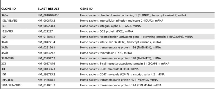 Table 1. The identity of cDNAs identified from positive interactors.