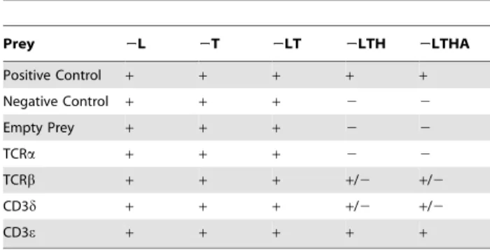 Figure 1. CD81 interacts with CD3d. HEK293T cells were transfected with plasmids encoding CD81 protein in the presence (lane 4) or absence of CD3d (lanes 3)