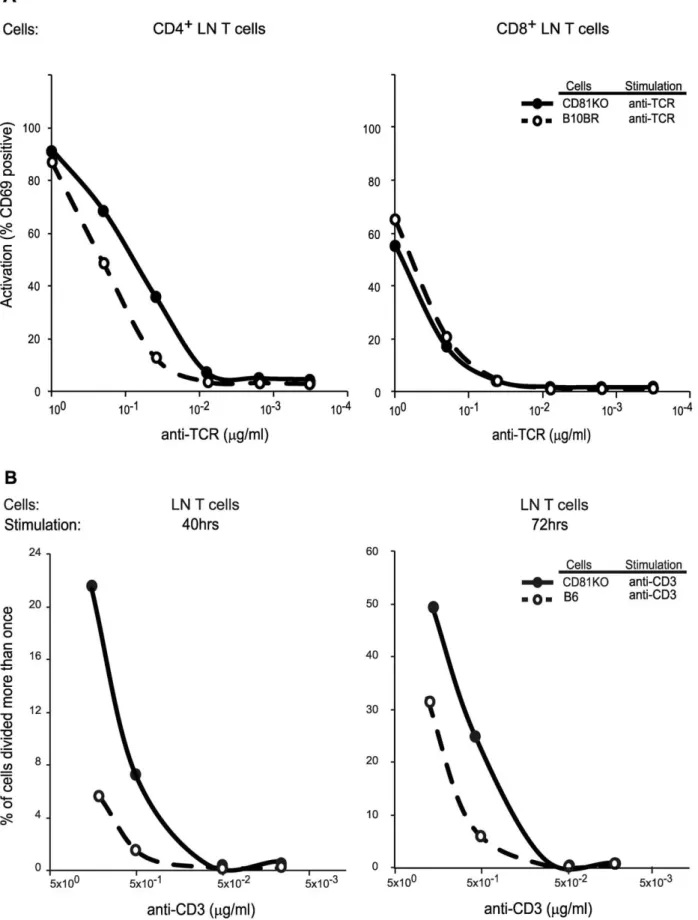 Figure 5. CD81 deficiency increases in vitro TCR signaling intensity in CD4+ lymph node T cells