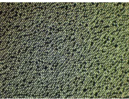 Fig. 2. Lands and pits image using a scan- scan-ning electron microscope